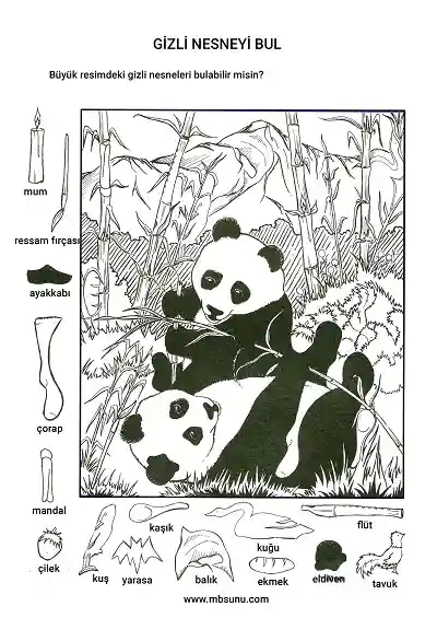 Pandalar Eğlenirken - Gizli Nesneyi Bulma Etkinliği