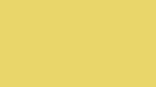 Hansa Sarısı HD Düz Renk Arka Plan
