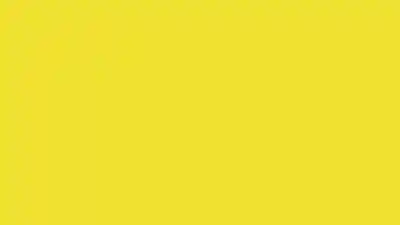Karahindiba Sarısı HD Düz Renk Arka Plan