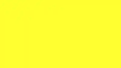 Nergis Sarısı HD Düz Renk Arka Plan