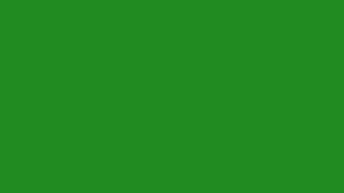 Orman Yeşili HD Düz Renk Arka Plan