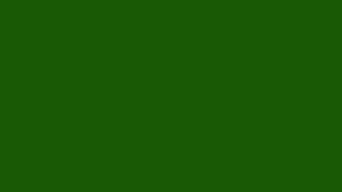 Lincoln Yeşili HD Düz Renk Arka Plan