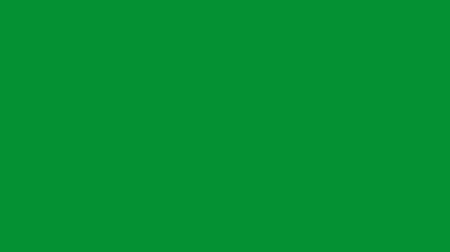 Kuzey Teksas Yeşili HD Düz Renk Arka Plan